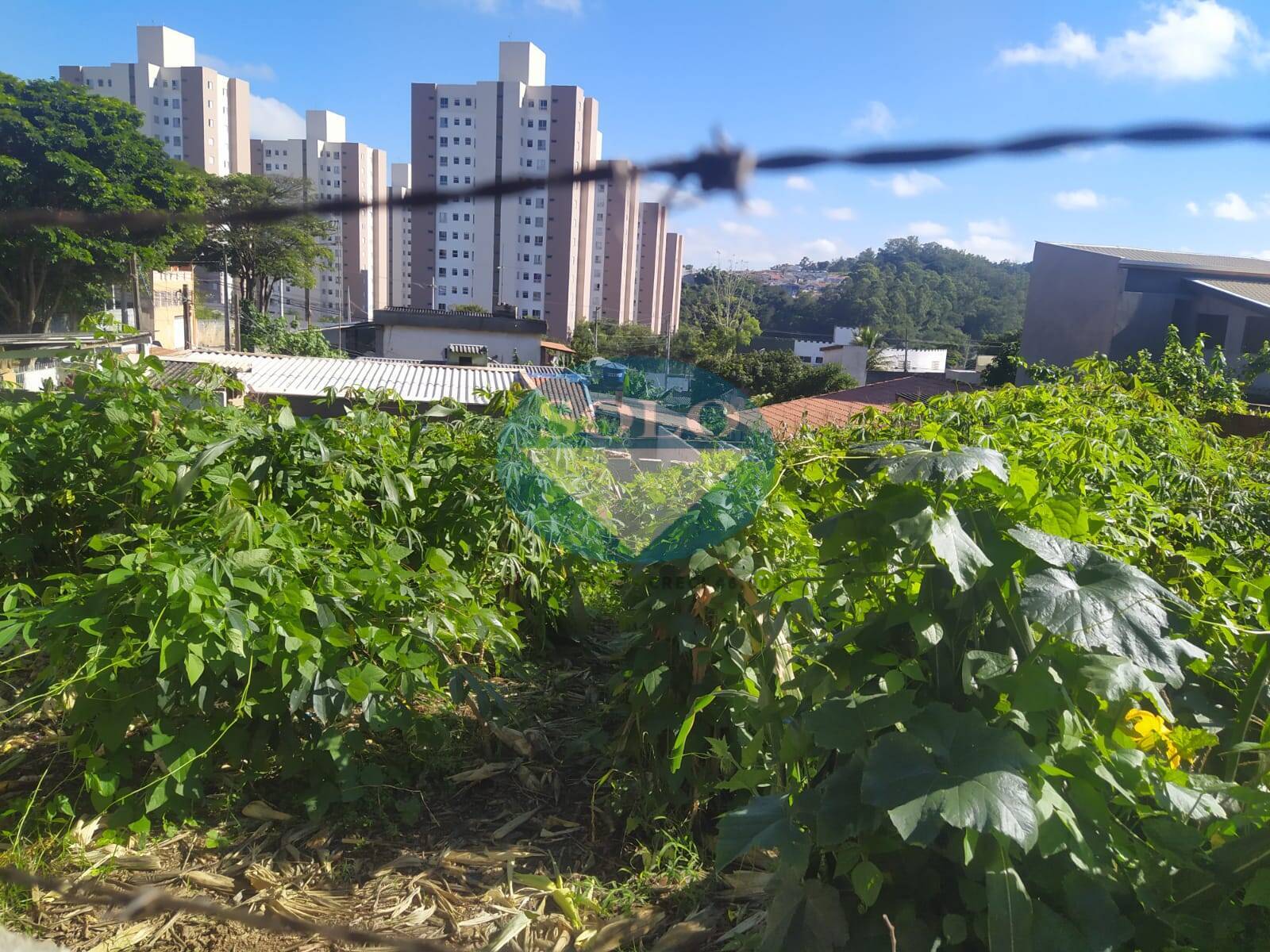 Terreno à venda, 252m² - Foto 3